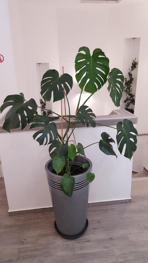 Centar Vodice Apartmani Exteriér fotografie